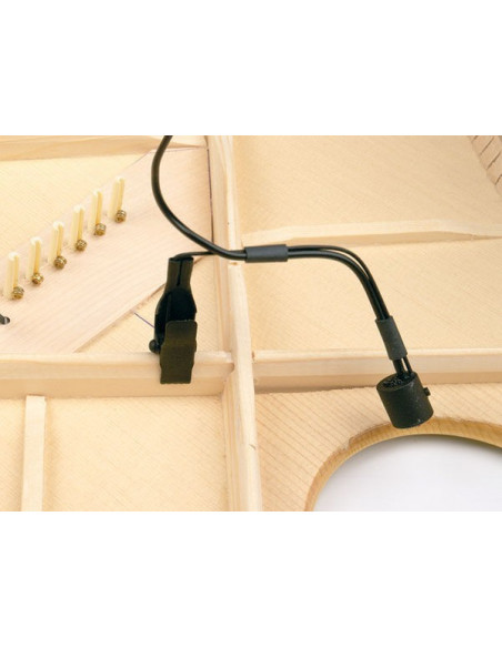B-Band AG-MIC