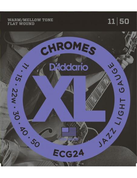 DAddario ECG24
