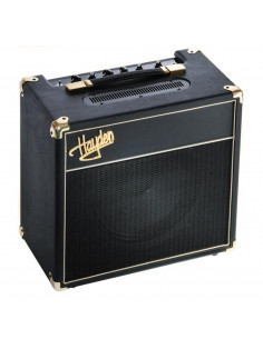 Hayden Petite 5W Combo