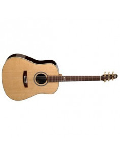 Seagull ARTIST STUDIO