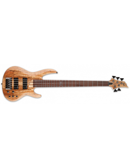 LTD B205M NS