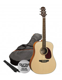 Ashton SPD25NT Pack Acustica