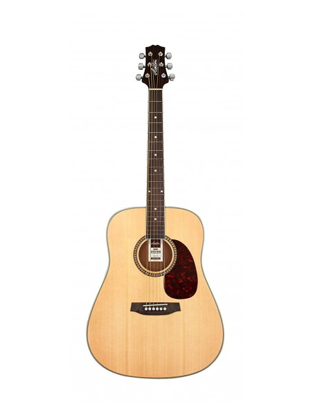 Ashton SPD25NTM Pack Acustica