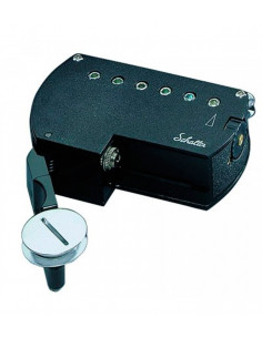 Schaller Western I 209 Pastilla Acustica