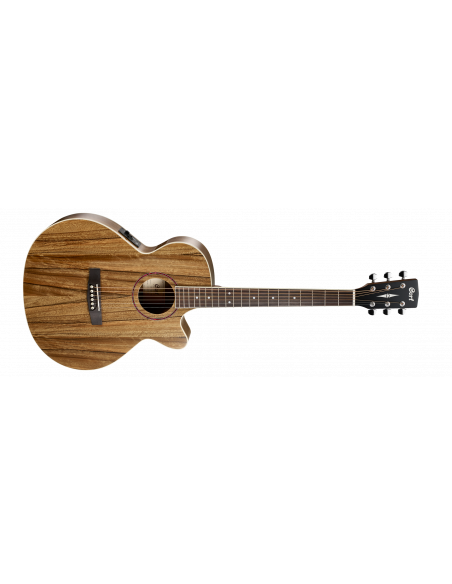 CORT SFX-DAO NAT