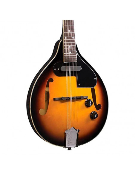 Mandolina electrificada Rover RM-25E Sunburst