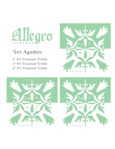 Allegro Set Graves Strings Titanium