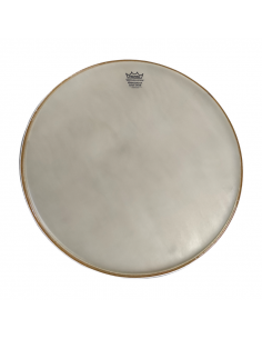 Remo 22 Ambassador Renaissance RA-1022-SS