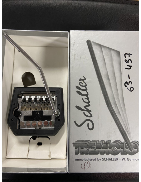 Schaller Puente Fine Tuning 437