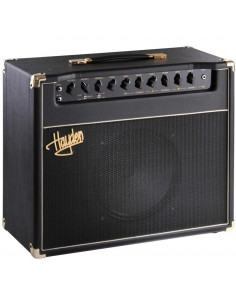 Hayden speakeasy 50w COMBO