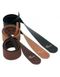 Golden Gate SG-1BK Correa Acustica Electrica NEGRA