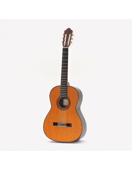 GUITARRA ESTEVE 9CB