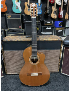 ADMIRA ELENA E GUITARRA CLASICA ELECTRIFICADA