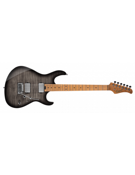 Cort G290 FAT II TBB
