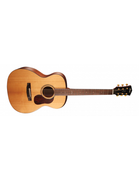 CORT GOLD-O6 NAT