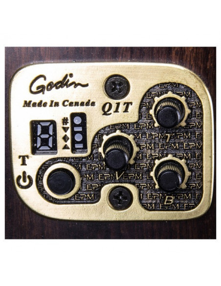 PREVIO GUITARRA ACUSTICA GODIN Q1T AMP