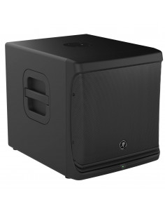 Mackie DLM12S sub.