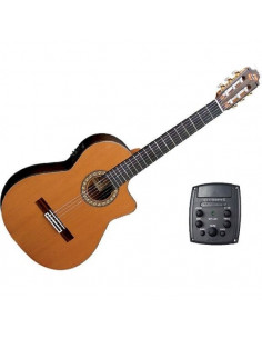 Admira Soledad-E Cutaway