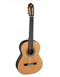 Admira Virtuoso Electrificada FISHMAN