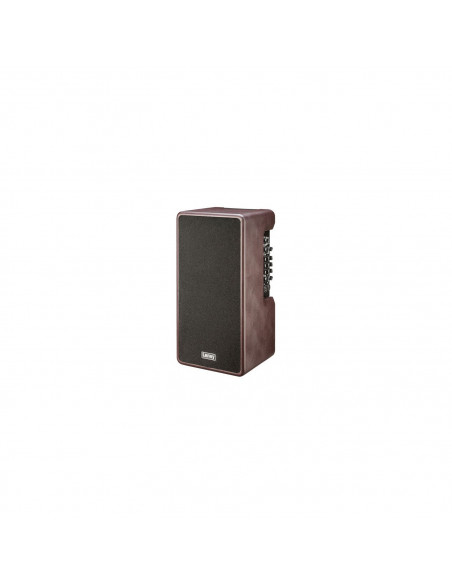 Laney A-Duo