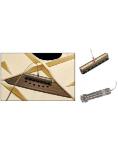 LR BAGGS  iBeam Bridge Plate Transducer