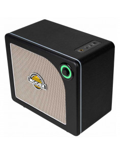 Mooer Hornet 15I Black Amplificador Combo 2