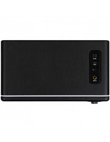 Mooer Hornet 15I Black Amplificador Combo