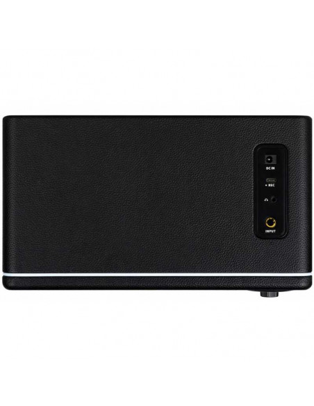 Mooer Hornet 15I Black Amplificador Combo