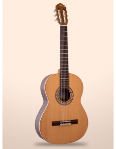 MANUEL RODRIGUEZ C11