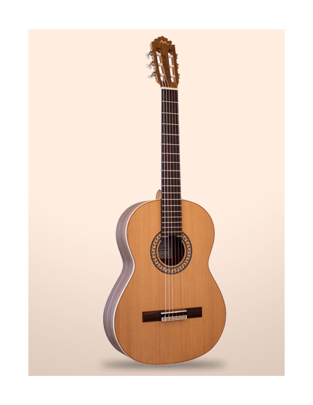 MANUEL RODRIGUEZ C11