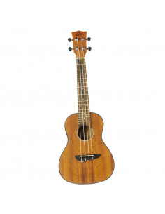 UKELELE DUO CONCERTO