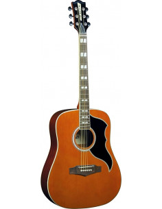 Guitarra acústica Eko Dreadnought Ranger VI-