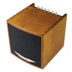 Ashdown CUBE40WOOD Cube Madera Combo 40W