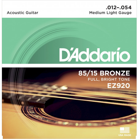 Daddario EZ920