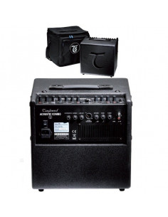 Tanglewood T-6 60W  Amplificador Con Funda