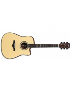 Ibanez AW3010CE-LG