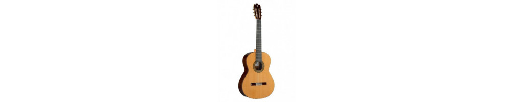 Sin Cutaway
