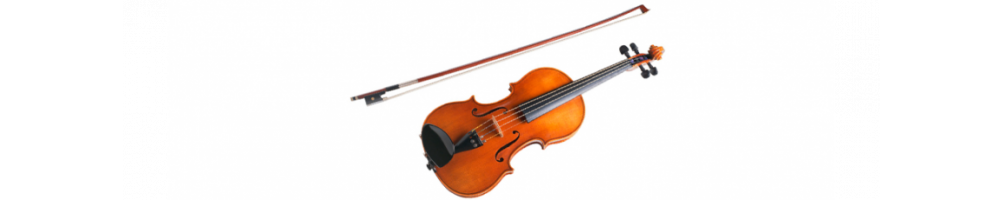 Violin
