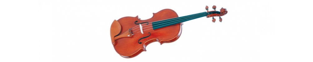Viola