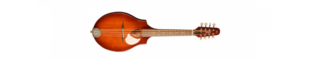 Otros instrumentos de cuerda